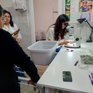 IMG_20241122_135201_HDR